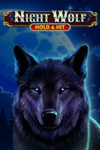Slot Night Wolf - Hold & Hit su Casinova Casino